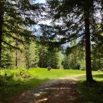 Green River Horse Camp