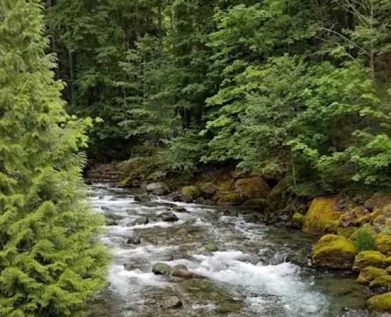 North Fork Bear Group Camp