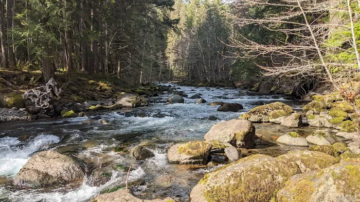 North Fork Bear Group Camp 9