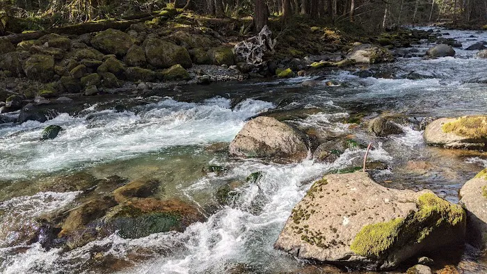 North Fork Bear Group Camp 1