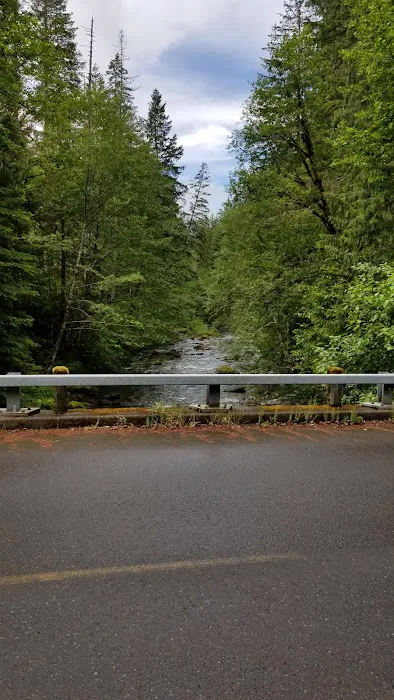 North Fork Bear Group Camp 6