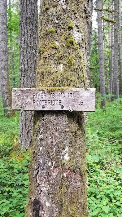 North Fork Bear Group Camp 8