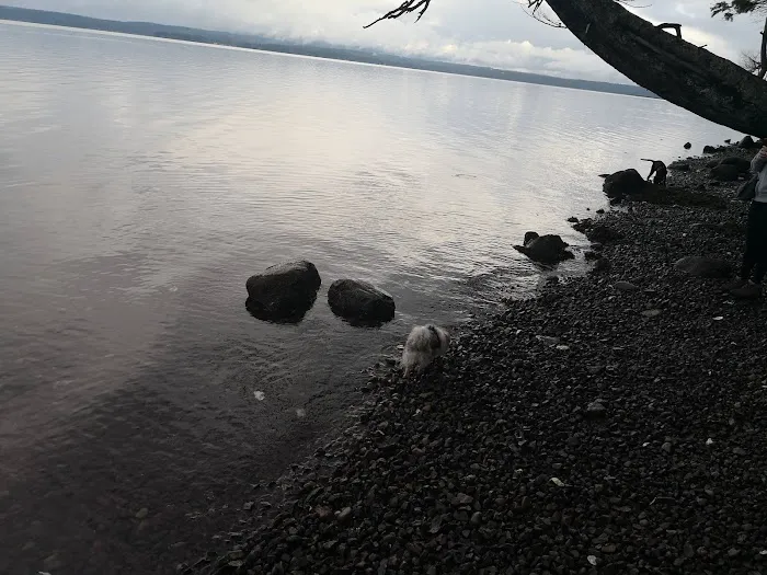 Seal Rock Campground 7
