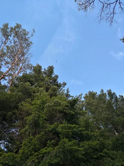 Seal Rock Campground 8