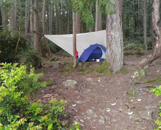 Seal Rock Campground