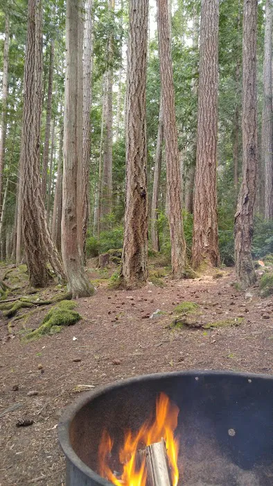 Seal Rock Campground 6