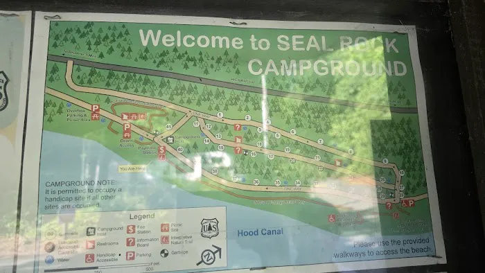 Seal Rock Campground 7