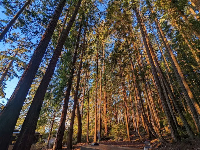 Seal Rock Campground 6