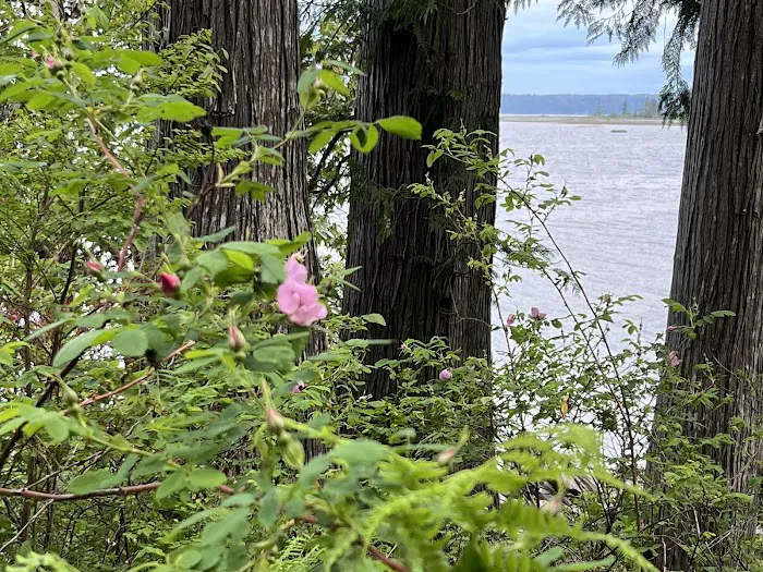Seal Rock Campground 9