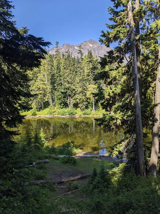Tunnel Creek via Big Quilcene Road Trailhead 0