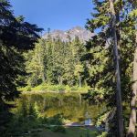 Tunnel Creek via Big Quilcene Road Trailhead