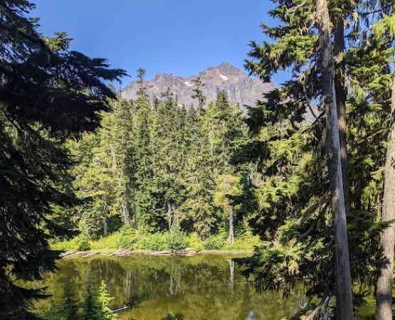 Tunnel Creek via Big Quilcene Road Trailhead