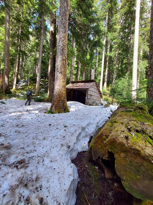 Tunnel Creek via Big Quilcene Road Trailhead 2