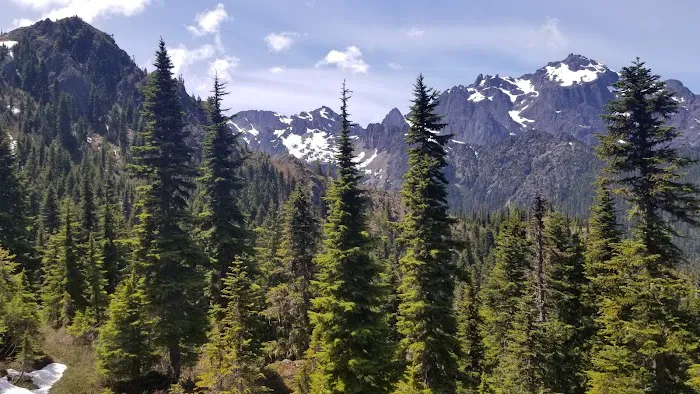 Tunnel Creek via Big Quilcene Road Trailhead 6
