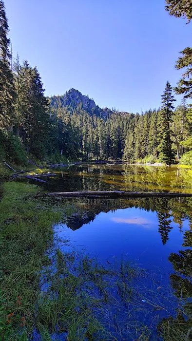 Tunnel Creek via Big Quilcene Road Trailhead 5