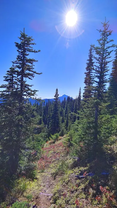 Tunnel Creek via Big Quilcene Road Trailhead 3