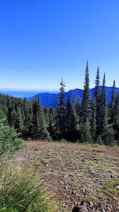 Tunnel Creek via Big Quilcene Road Trailhead 4