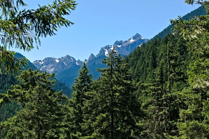 Tunnel Creek via Big Quilcene Road Trailhead 7