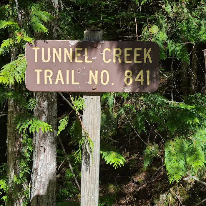 Tunnel Creek via Big Quilcene Road Trailhead 8