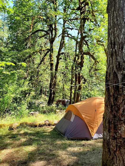 Collins Campground 6