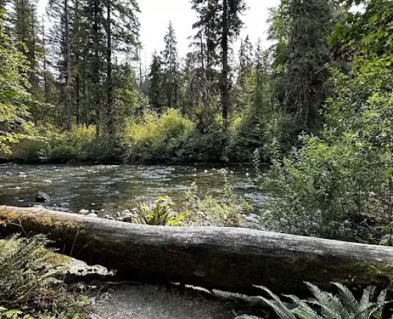 Collins Campground
