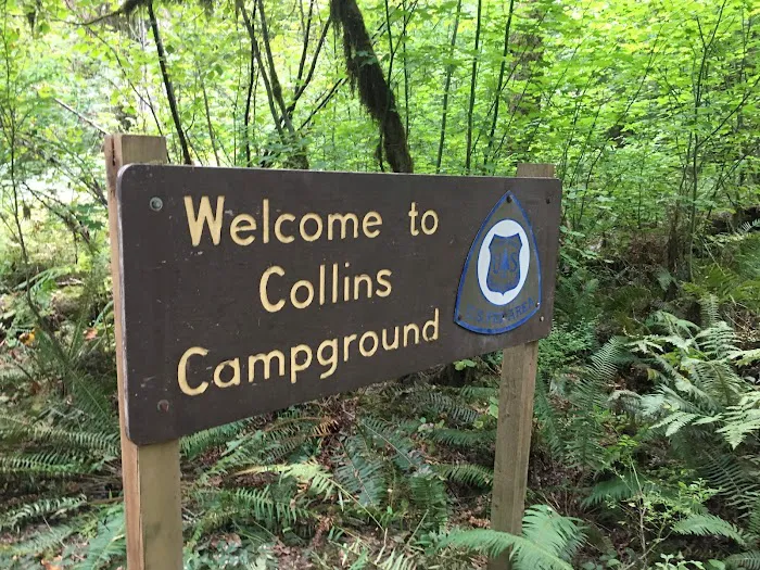 Collins Campground 7