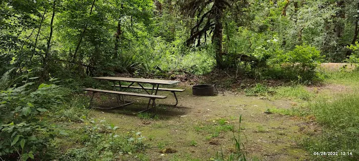 Collins Campground 9