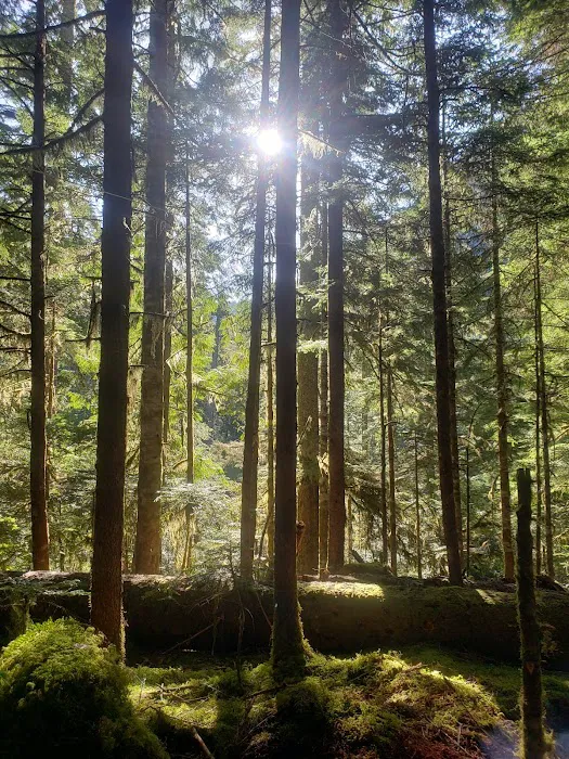 Lena Lake Campground 6