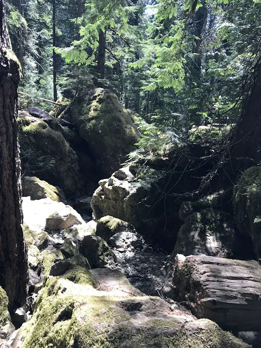Lena Lake Campground 4