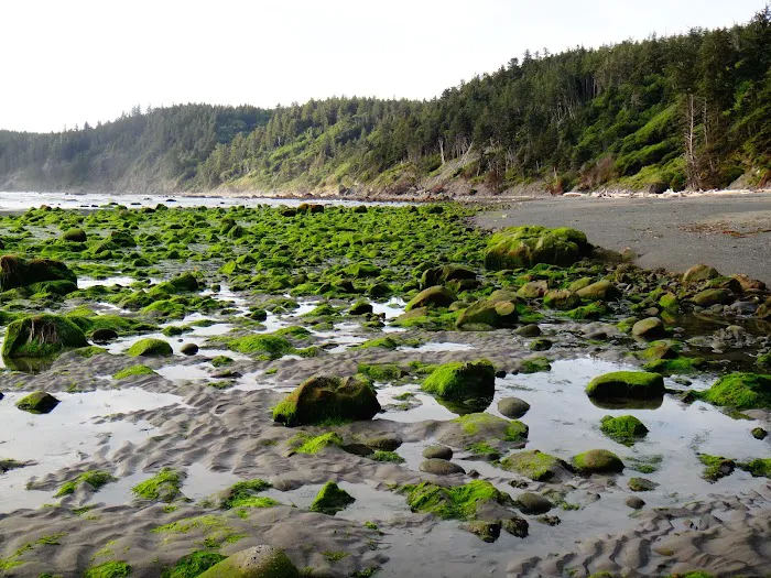 Seafield Creek 0