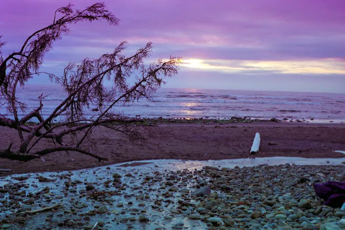Seafield Creek 1
