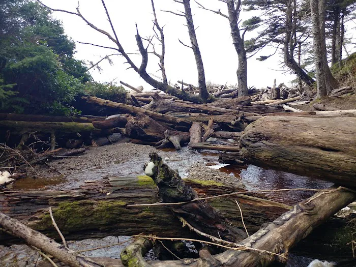 Seafield Creek 3