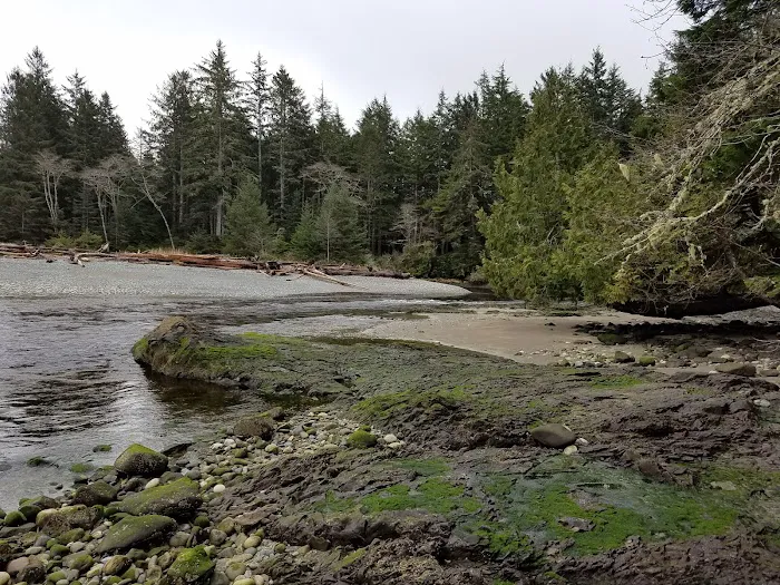 South Ozette River 6