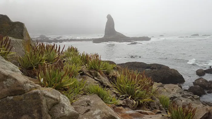 South Ozette River 4