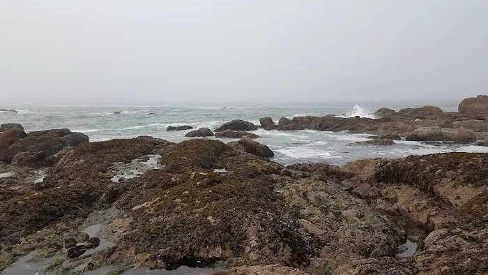 South Ozette River 1