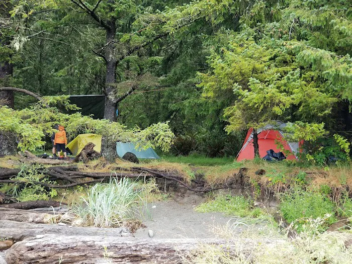 Cape Alava 2