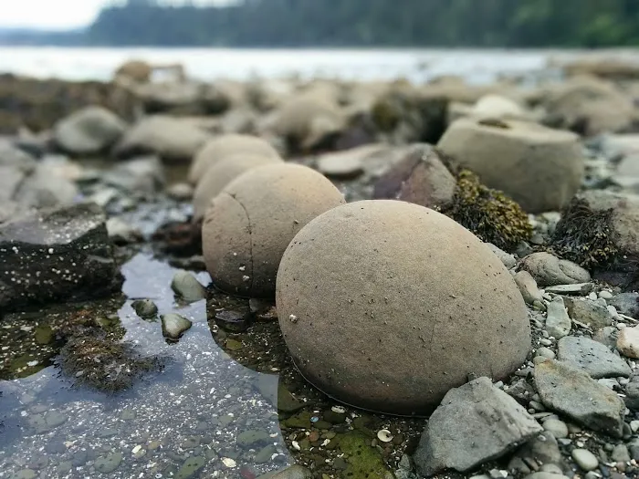 Cape Alava 9