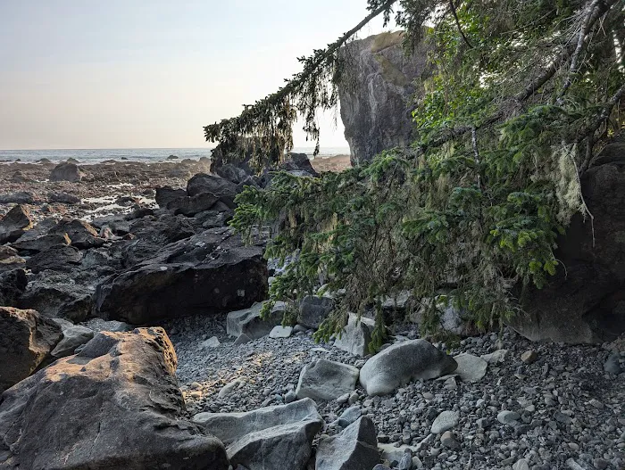 Cape Alava 6