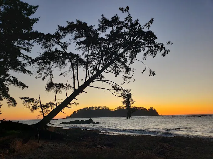 Cape Alava 4