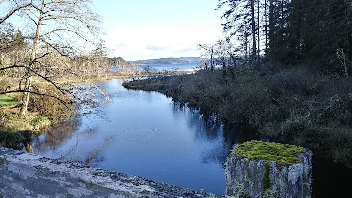 Ozette Campground 7