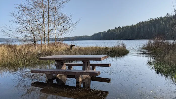 Ozette Campground 6