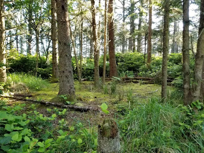 Sand Point 9
