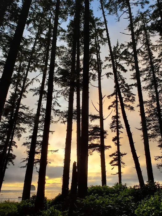 Sand Point 8