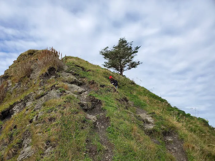 Sand Point 6
