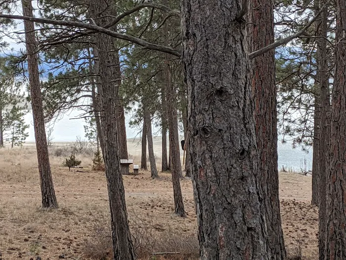 Gateway Campground 5