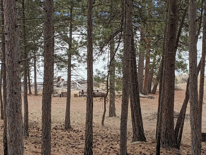 Gateway Campground 7