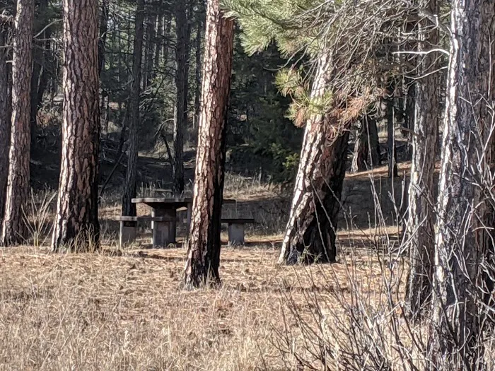 Swisher Lake Campground 2