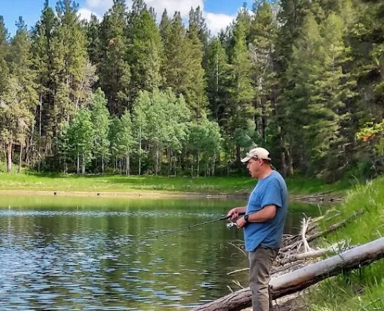 Swisher Lake Campground