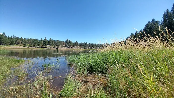 Swisher Lake Campground 9