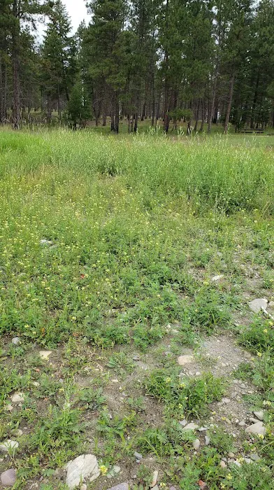 Swisher Lake Campground 8